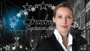 © AfD /shutterstock - Leonid Andronov