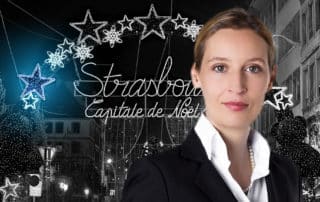 © AfD /shutterstock - Leonid Andronov