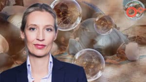 Böses Erwachen aus Integrationsträumerei