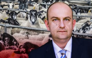 Tierschutz nicht falsch verstandener Toleranz opfern