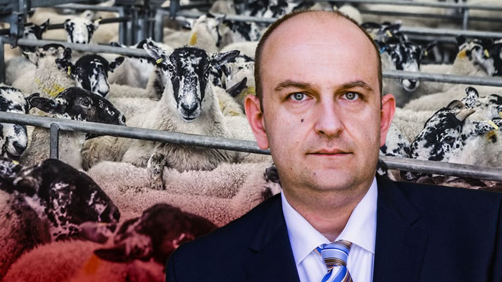 Tierschutz nicht falsch verstandener Toleranz opfern