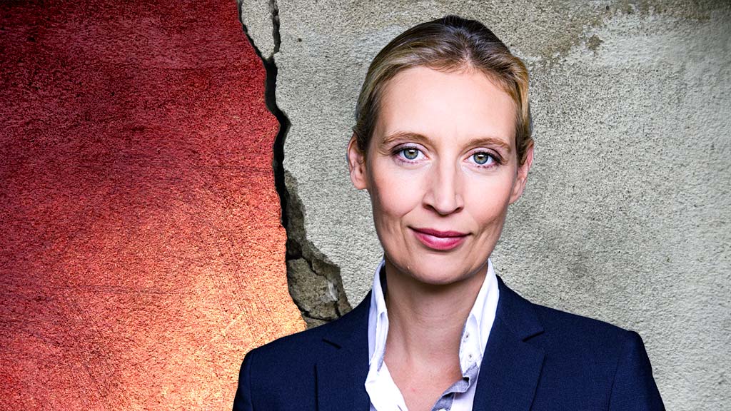 Der linksextreme Meinungsterror hat viele parlamentarische Arme