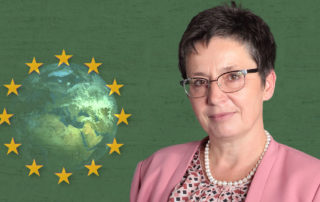 EU-Klimagesetz führt Wirtschaft in den Abgrund