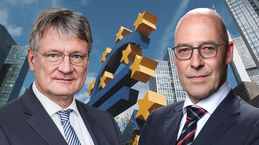 Meuthen/Wolf: EZB-Urteil des Bundesverfassungsgerichts zu Anleihekäufen ...